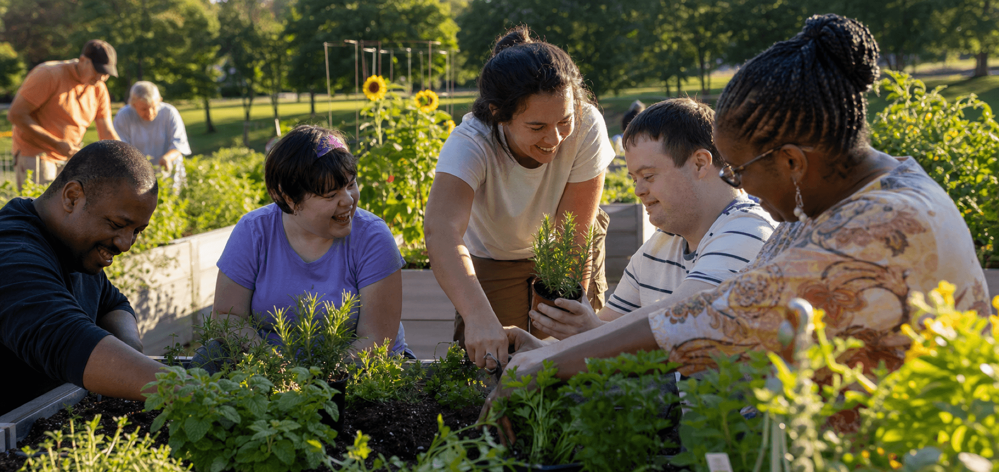 Adults volunteering together in a community garden